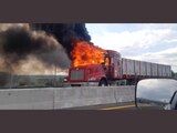 Incendios en autopistas de Celaya.
