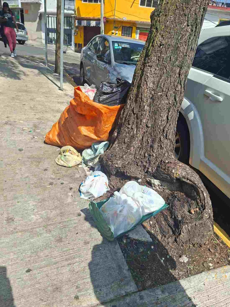 "Miles de reportes de recoger basura en las calles hasta que llegó la lluvia y sucedió la tragedia", acusaron personas afectadas en redes sociales.