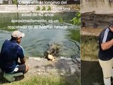 Un hombre que se dedica al cuidado de cocodrilos se volvió viral por su valor.