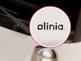 Esta es toda la información que se conoce de Olinia