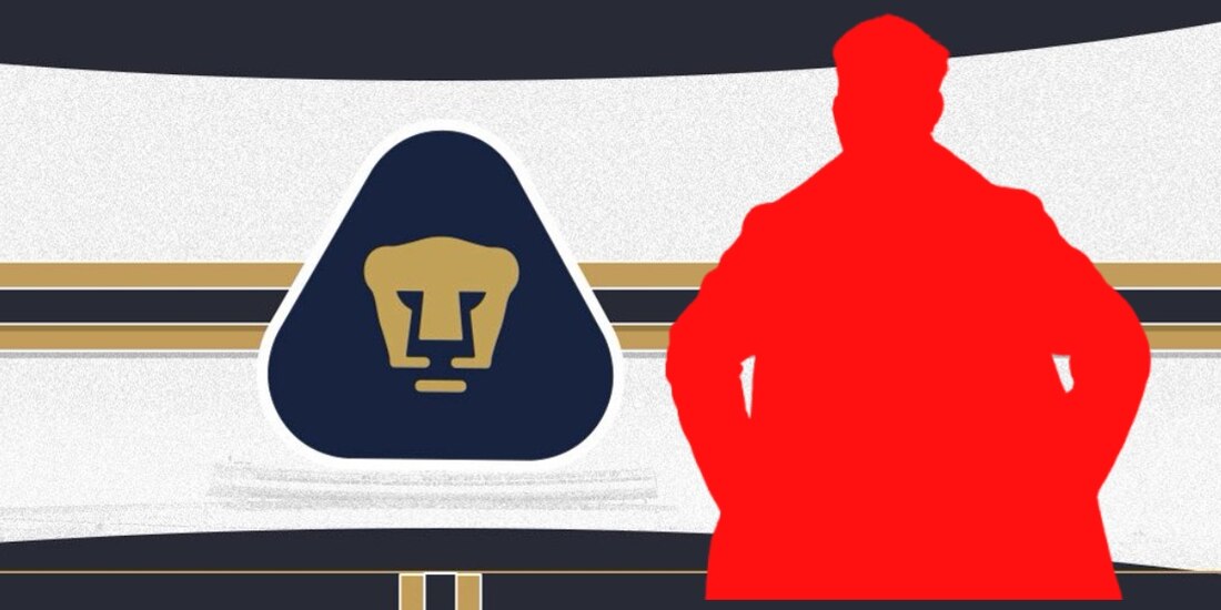 De los Pumas, pasaría a un club de Chile