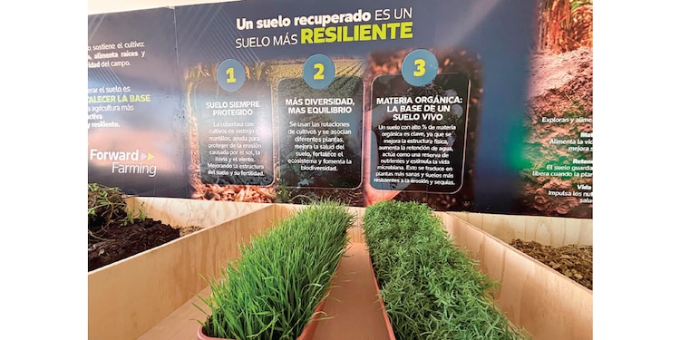 DEMOSTRACIÓN de los beneficios del plan Bayer Forward Farming y su impacto en el suelo, en un recorrido en Querétaro