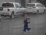 Culpan a la basura por inundaciones en Guadalajara.