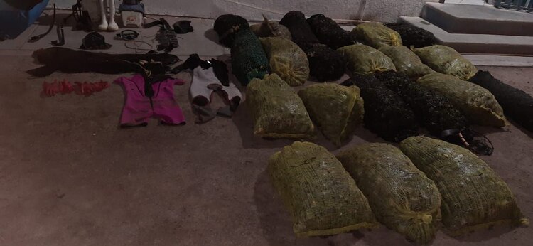 Se encontraron 21 costales