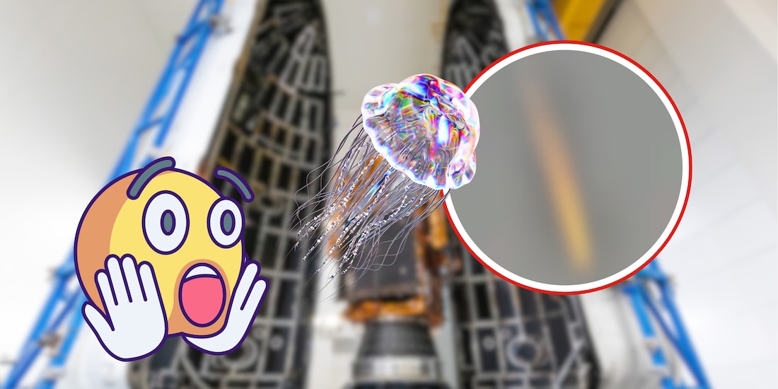 Efecto medusa del cohete de SpaceX