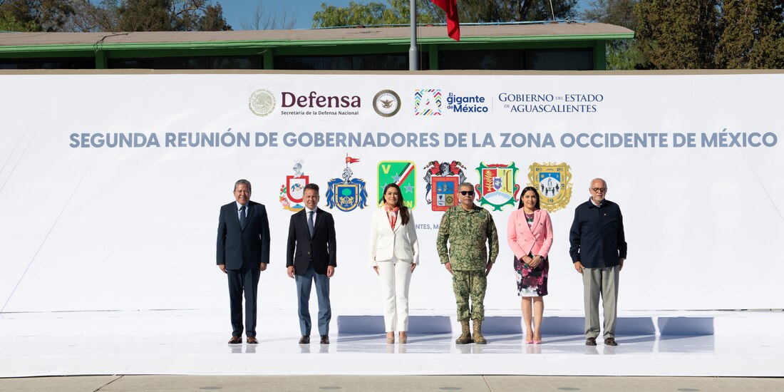 Mandatarios estatales en la imagen oficial.