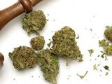 En México la regulación de la marihuana está en debate.