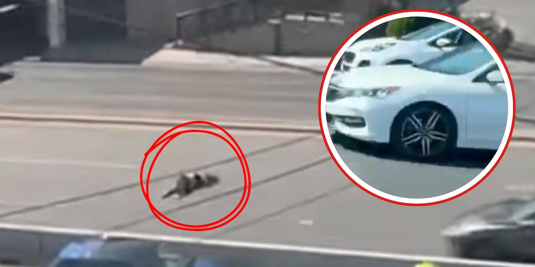 Liberan a conductora en Monterrey