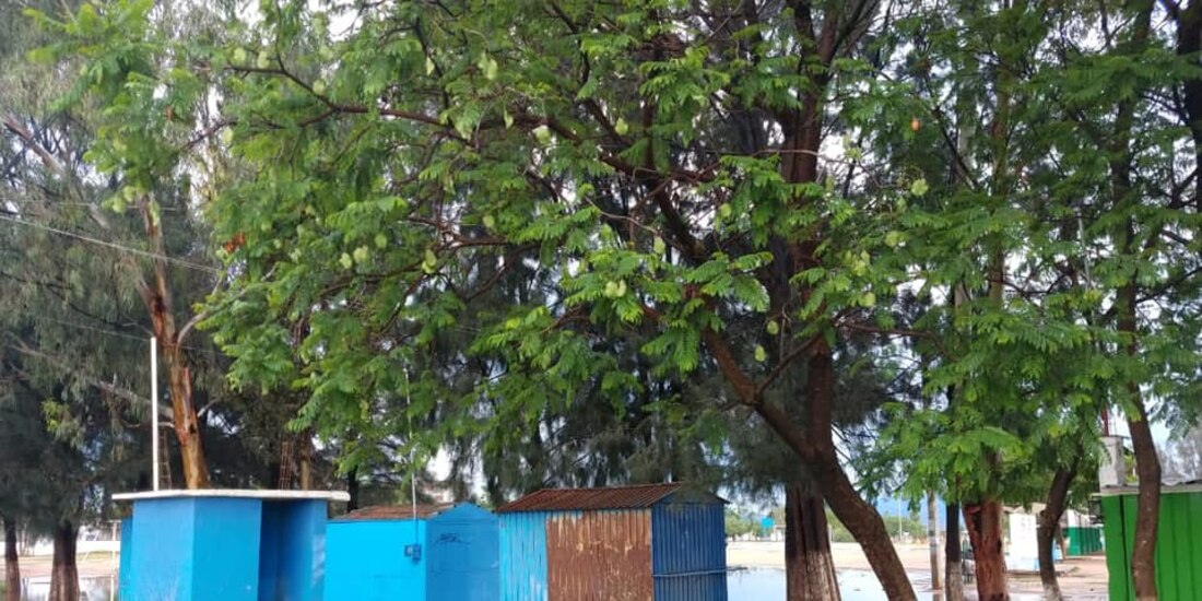 Lluvia deja encharcamientos en municipio oaxaqueño