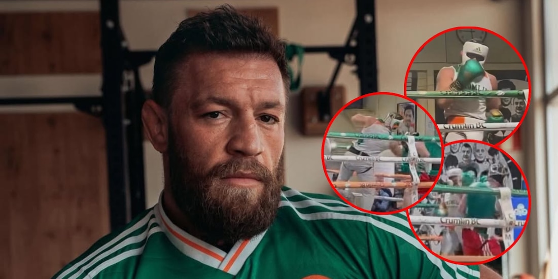 Conor McGregor reaparece en una pelea de box en Irlanda
