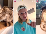 ERLING HAALAND Y SU AMOR POR LOS ANIMALES DISECADOS