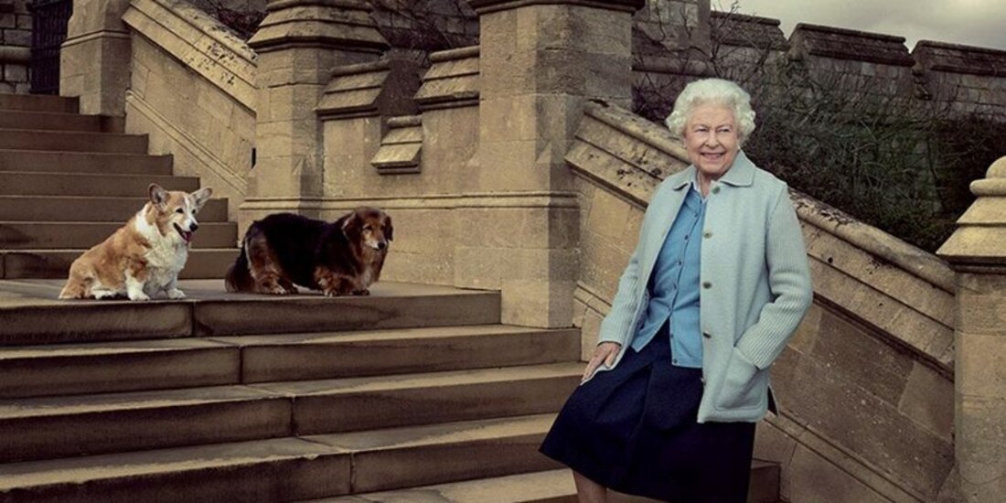 Con su amor por los corgis, Isabel II dio a conocer al mundo a esta raza originaria de Gales y una de las más antiguas de la Gran Bretaña. Estos especímenes se han caracterizado durante siglos por ser perros pastores.