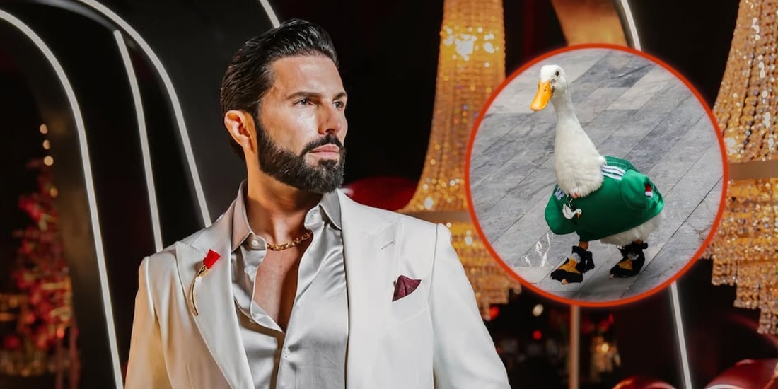 Poncho de Nigris quiere comprar al pato Merlín para que sea la mascota de Ring Royale
