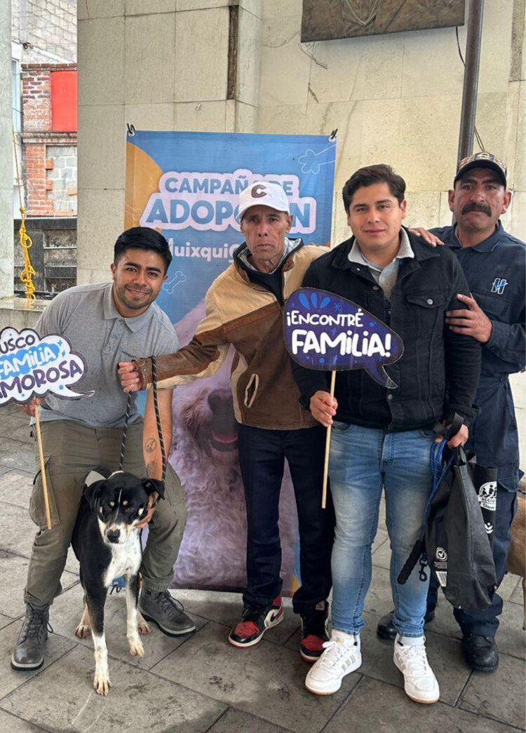 Chapi, Candy y Boni, entre los más de 350 perros que ya encontraron un nuevo hogar gracias al centro "Huixquican".