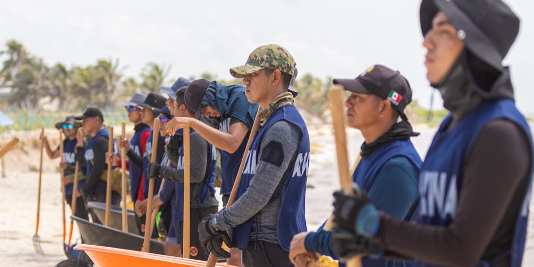 La Marina retira toneladas de sargazo de las playas del Caribe mexicano como parte de su labor ambiental.