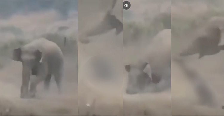 Video de la muerte de Ernie Dosio