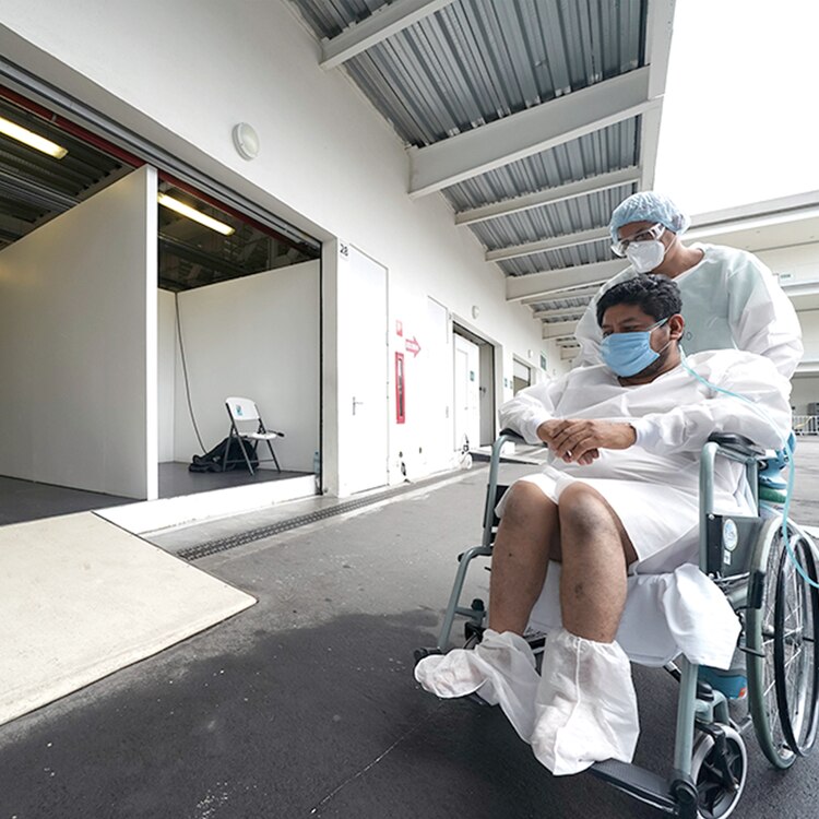 El regreso a la vida