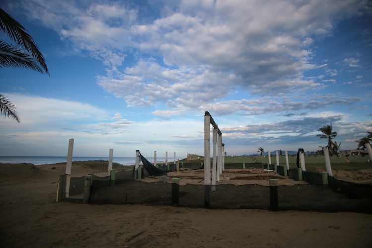 Campamento tortuguero en Pie de la Cuesta Guerrero.