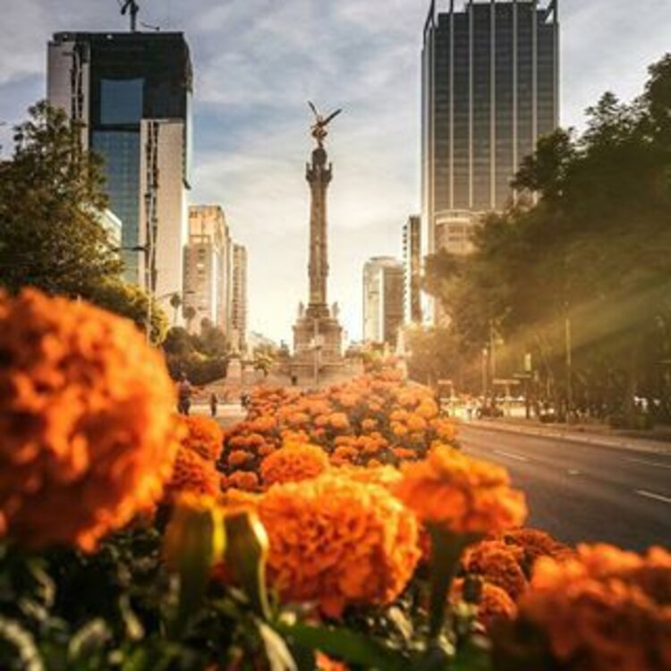 El Festival de las Flores de Cempasúchil estará desde este miércoles 14 y hasta el 31 de octubre.
