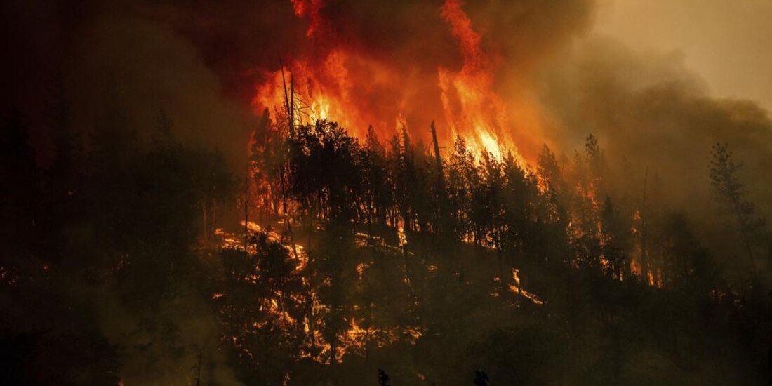 Las llamas del Incendio McKinney consumen árboles a lo largo de la Carretera 96 de California, hecho que se registró en meses pasados.