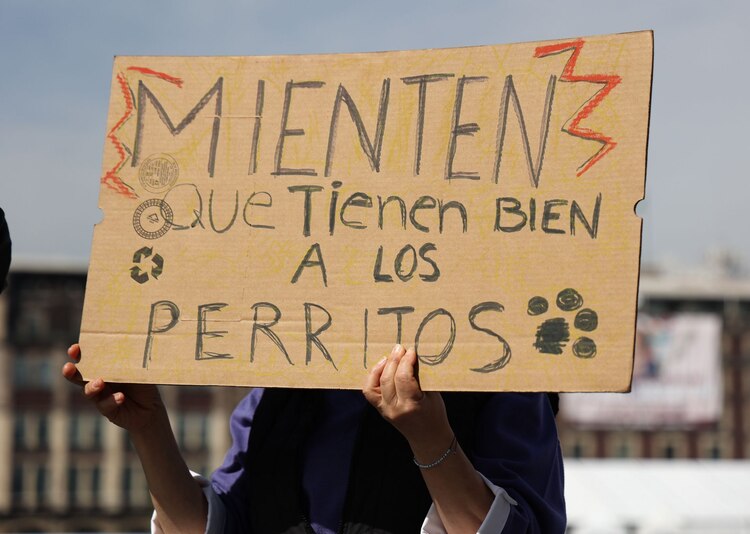 Un grupo de animalistas y voluntarios en favor del Refugio Franciscano se manifestaron frente a la jefatura de gobierno, en el Zócalo capitalino