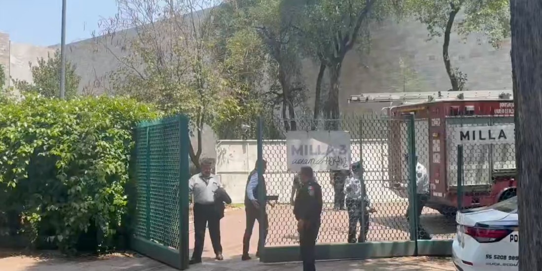 Trabajador de poda fallece tras caída en inmediaciones del Museo de Antropología