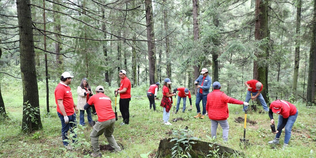 En la acción, 80 voluntarios de la directiva de ANPACT y sus asociados.