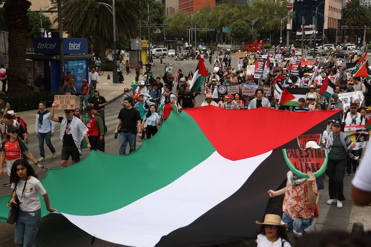 Colectivos en favor de la causa palestina, en una marcha de la Ciudad de México.
