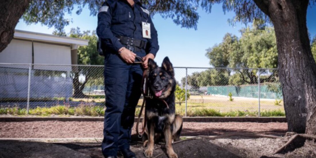 Técnico del Senasica junto a lomito adiestrado, ayer.