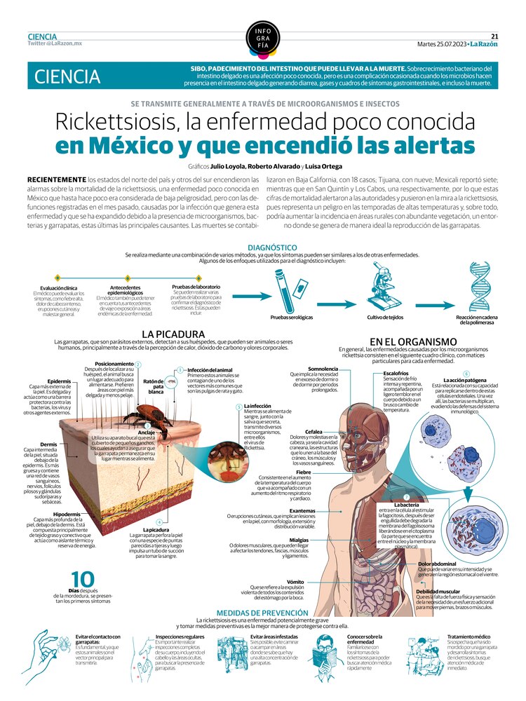 Rickettsiosis, la enfermedad poco conocida en México y que encendió las alertas<br>