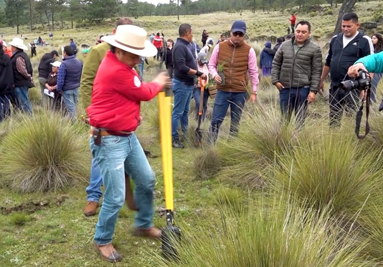 La jornada de reforestación masiva tuvo una exitosa respuesta de la ciudadanía.