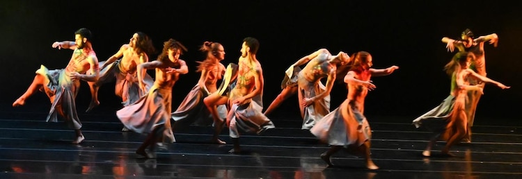 Homenaje a Rufino Tamayo.