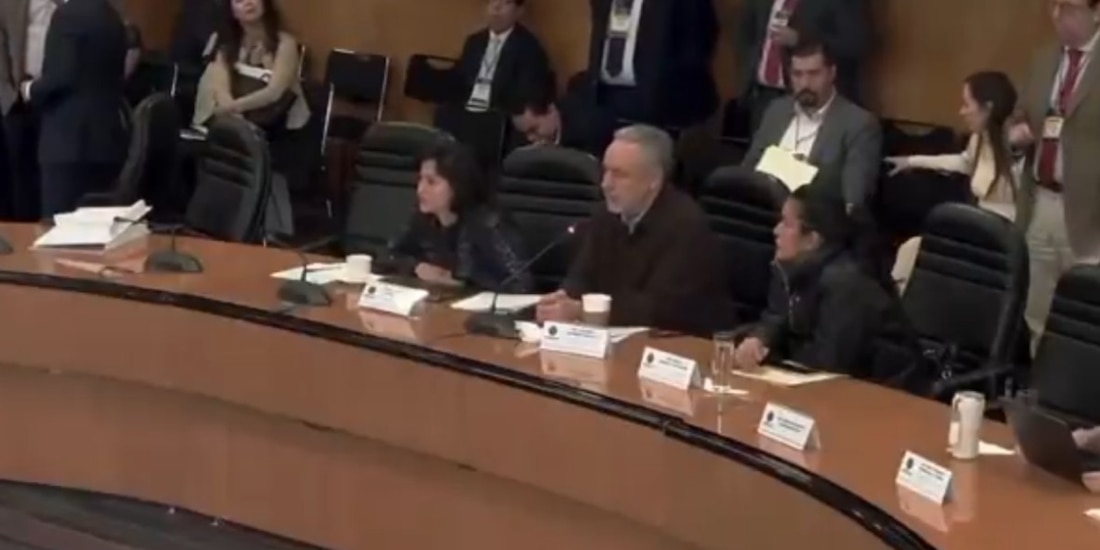 Alfonso Ramírez Cuéllar pide cárcel para Guadalupe Taddei y un maxiproceso en el INE.
