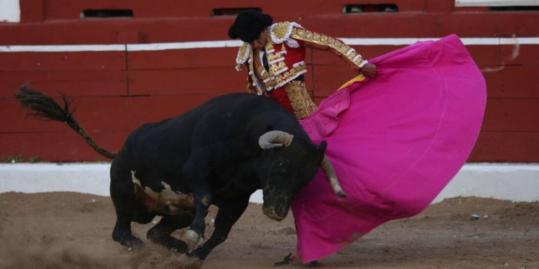 Proponen que continúen corridas de toros en CDMX pero sin muerte de los animales.