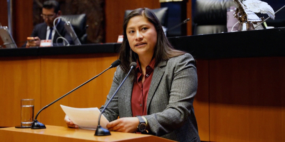 La senadora Reyna Celeste Ascencio Ortega, de Morena, en una fotografía ilustrativa.