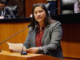 La senadora Reyna Celeste Ascencio Ortega, de Morena, en una fotografía ilustrativa.