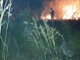 Se registra incendio en el Parque Nacional Cañón del Sumidero, en Chiapas (VIDEO).