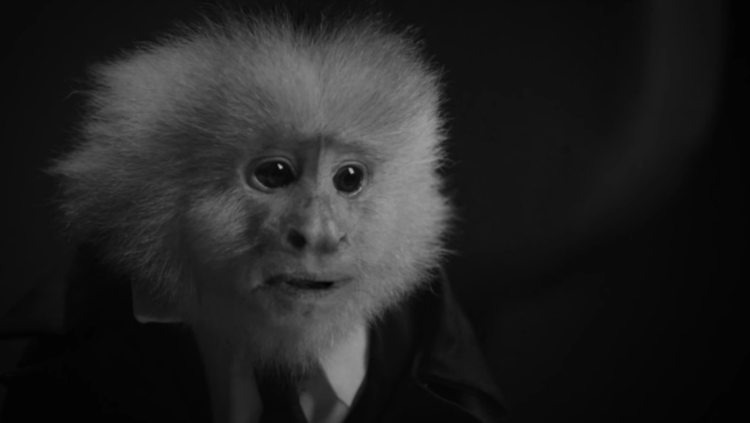 What did Jack do? (2017)