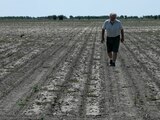 Pablo Giailevra camina en su campo de algodón durante una sequía en curso en Tostado, provincia de Santa Fe, Argentina, el 18 de enero de 2023