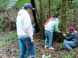 Refuerza Hidalgo la protección de la biodiversidad en la región Otomí-Tepehua.