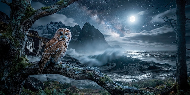 LA NOCHE: un placer