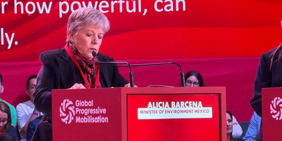 Alicia Bárcena, secretaria de Medio Ambiente y Recursos Naturales