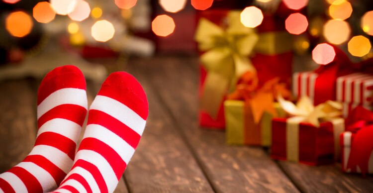 Vacaciones invernales