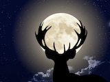Luna del Ciervo