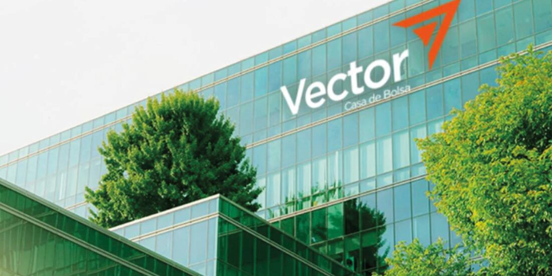 CNBV decreta intervención gerencial temporal de Vector Casa de Bolsa - La Razón de México