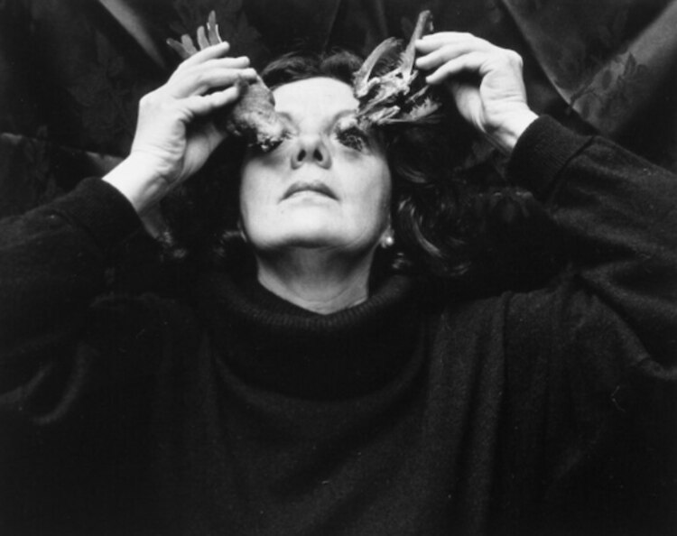 ¿Ojos para volar? (1991), Coyoacán.