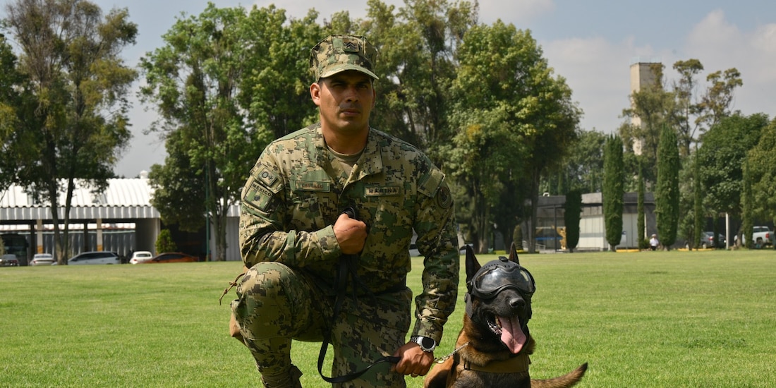 Los binomios caninos de la Secretaría de Marina participan en misiones de búsqueda, rescate y seguridad, respaldados por entrenamiento especializado y atención veterinaria.