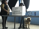 Personas con discapacidad podrán ser postuladas en el Proceso Electoral Local Ordinario 2026-2027.