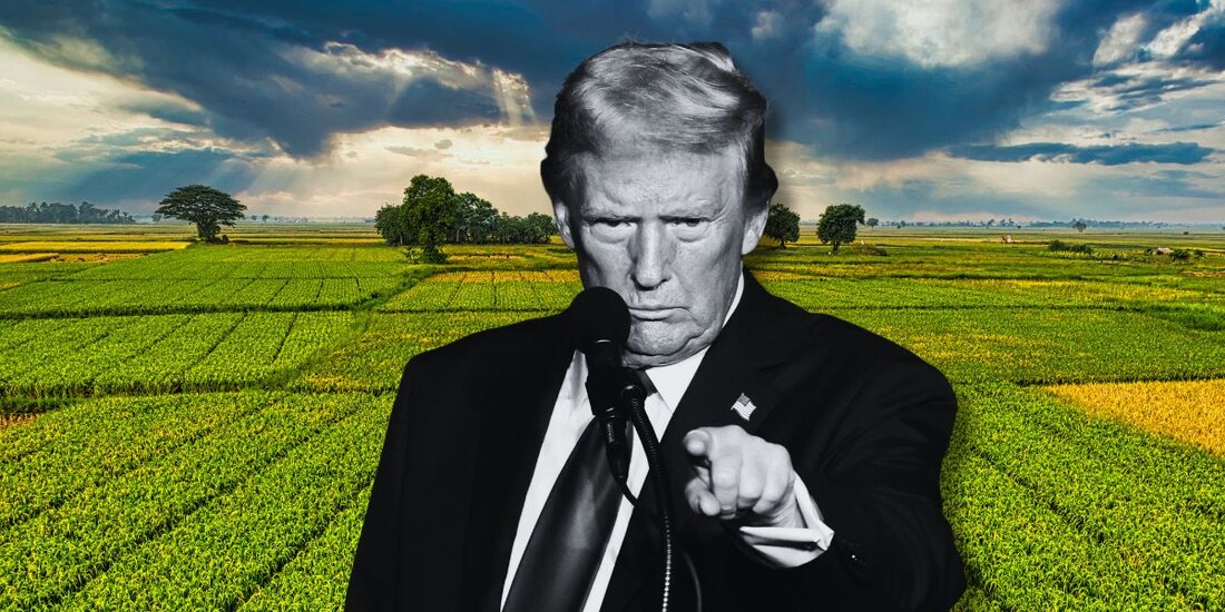 Trump anuncia aranceles a la producción agrícola.