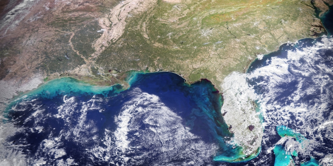 En esta imagen, capturada el 21 de octubre de 2024 por el instrumento Ocean Color Instrument del satélite PACE de la NASA, se aprecian remolinos verdes de algas microscópicas